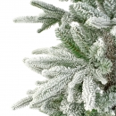    Alpbach Fir Snowy 210 