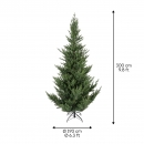    Norway Spruce 300 