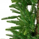    Alpbach Fir 210 