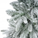    Alpbach Fir Snowy 180 