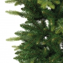    Slim Fir 210 