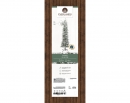    Slim Fir Snowy 210 