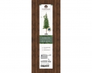    Alpbach Fir 180 